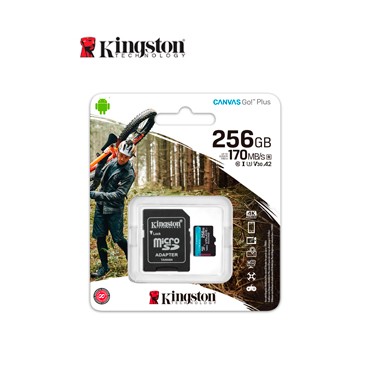 MICROSDXC CANVAS GOPLUS 256GB