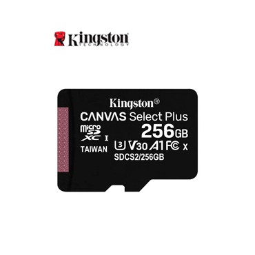 MICRO SD KING CANVAS 256G