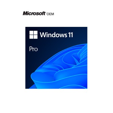 WIN 11 PRO 64BIT SPANISH LATAM