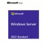 WINDOWS SVR STD 2022 64BIT SPA