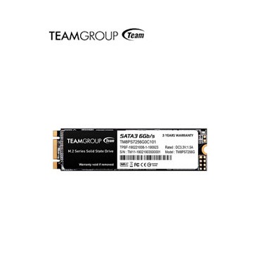 SSD 256G TG MS30 M.2 SATA III