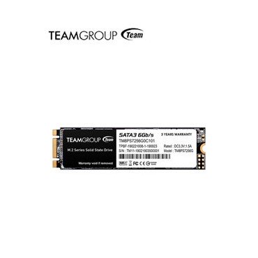 SSD 256G TG MS30 M.2 SATA III